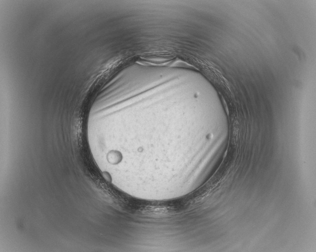 X0000115820260200912041633