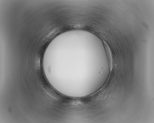 X0000115820262200912041633