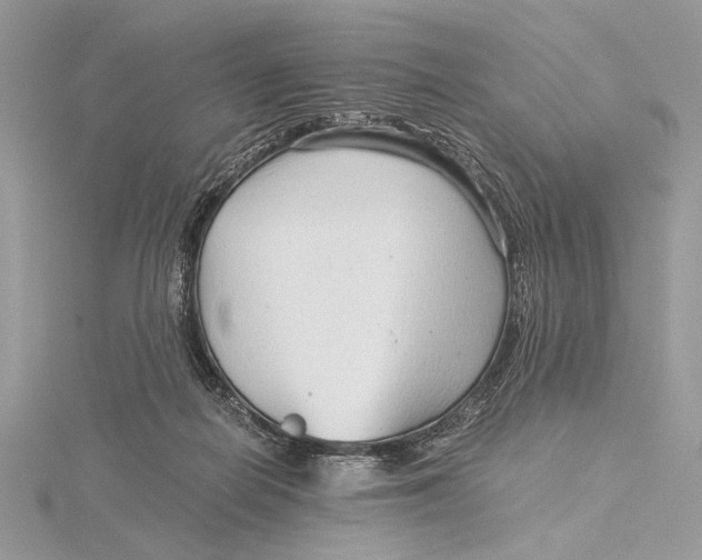 X0000115820266200912041633