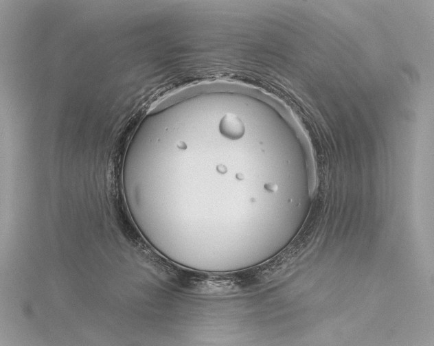 X0000115820270200912041633