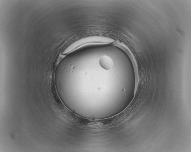 X0000115820271200912041633