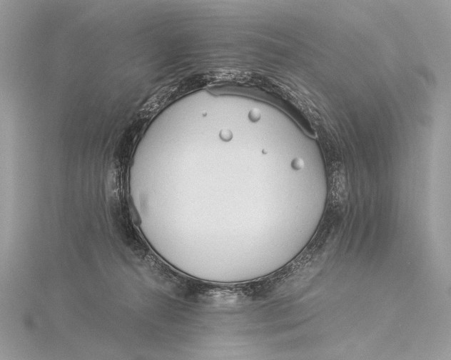 X0000115820272200912041633