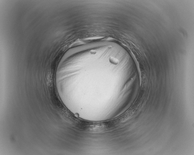 X0000115820274200912041633