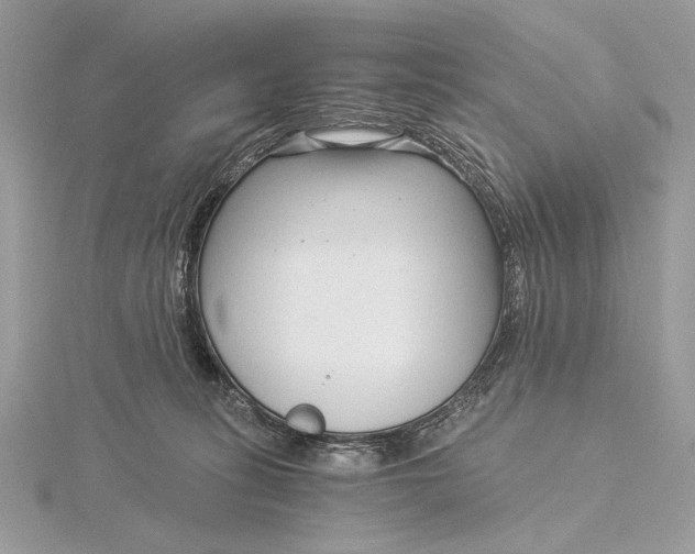 X0000115820275200912041633