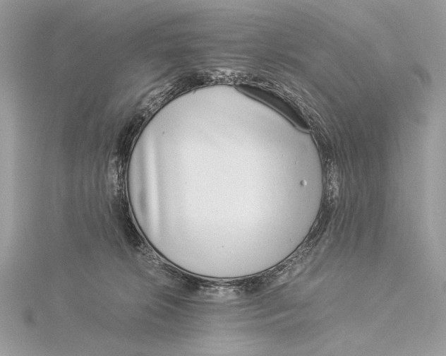 X0000115820276200912041633