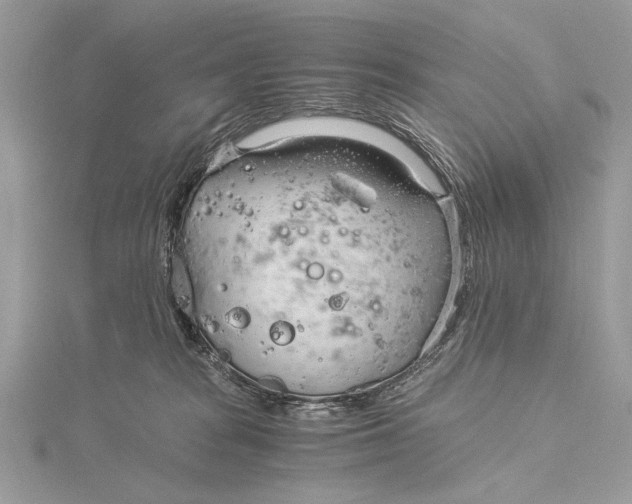 X0000115820277200912041633