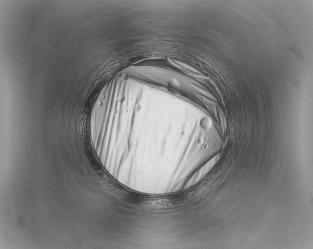 X0000115820278200912041633