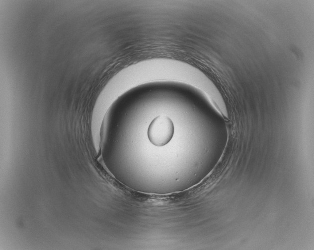 X0000115820280200912041633