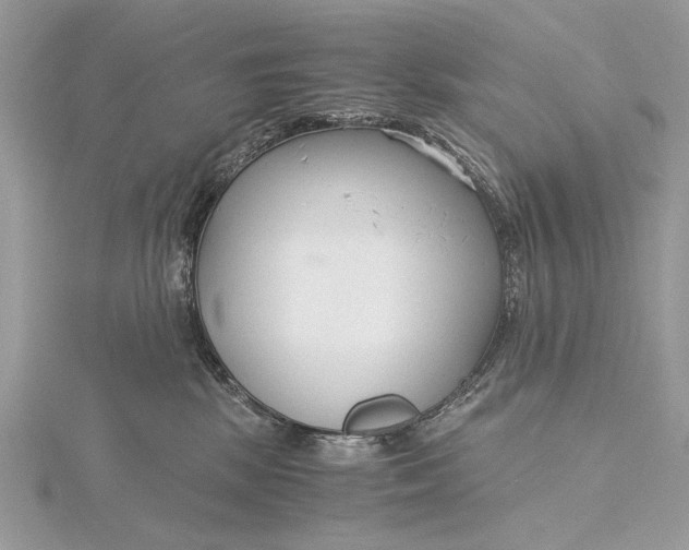 X0000115820281200912041633