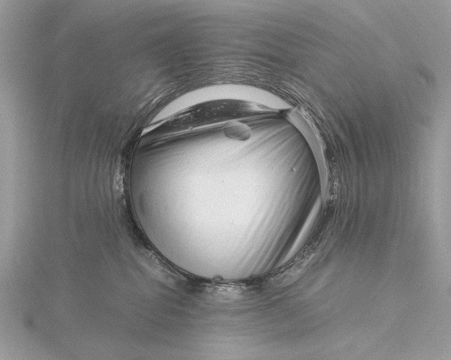 X0000115820282200912041633