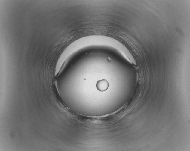 X0000115820284200912041633