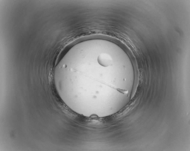 X0000115820285200912041633