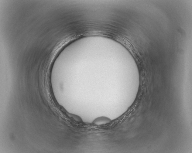 X0000115820289200912041633