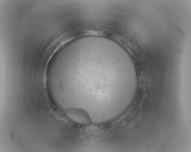 X0000115820290200912041633