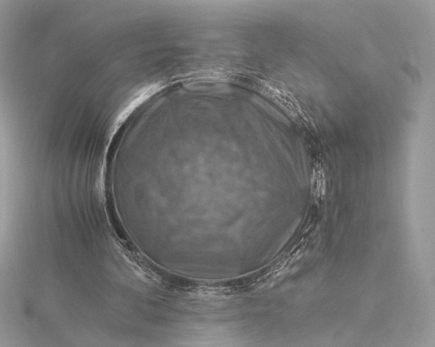 X0000115820292200912041633