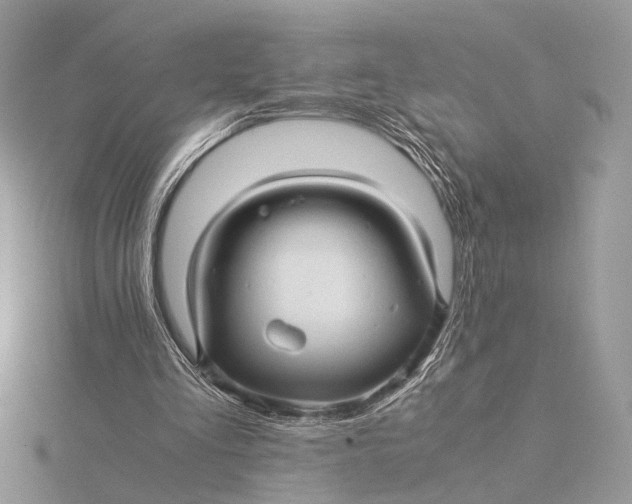 X0000115820293200912041633