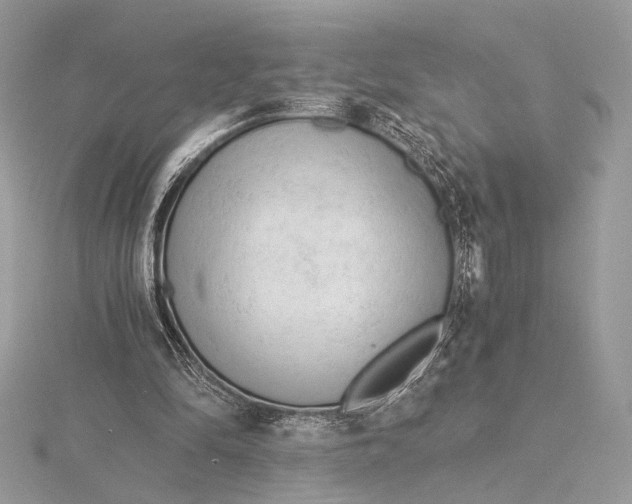 X0000115820294200912041633