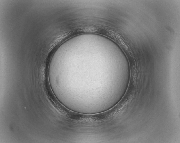 X0000115820299200912041633