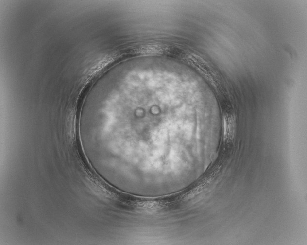 X0000115820301200912041633