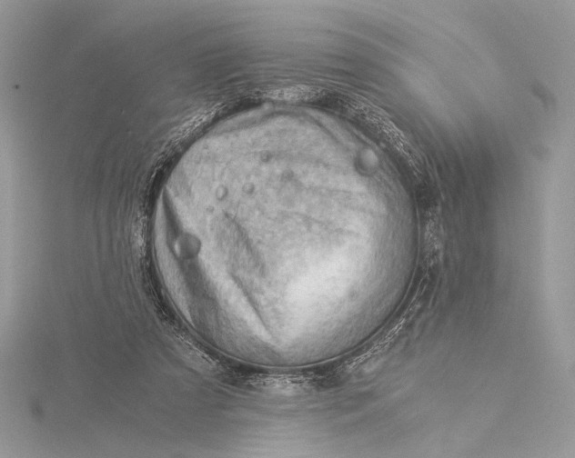 X0000115820305200912041633