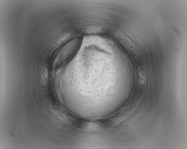 X0000115820308200912041633