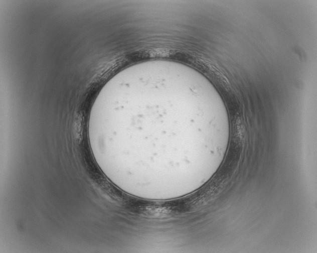 X0000115820311200912041632