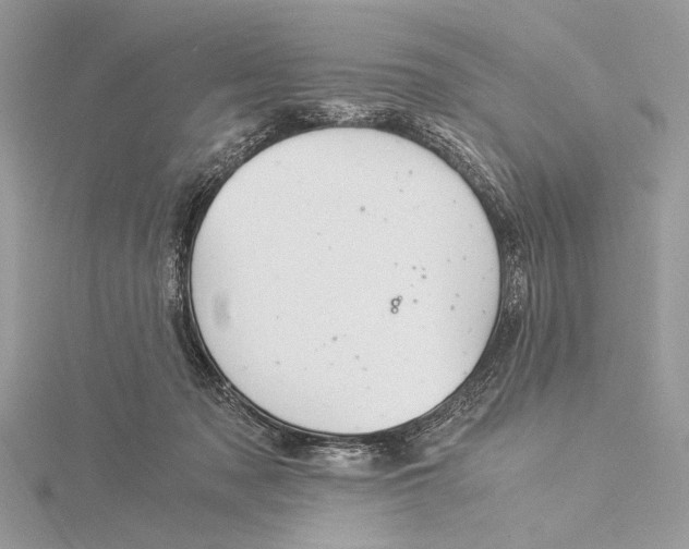 X0000115820317200912041632