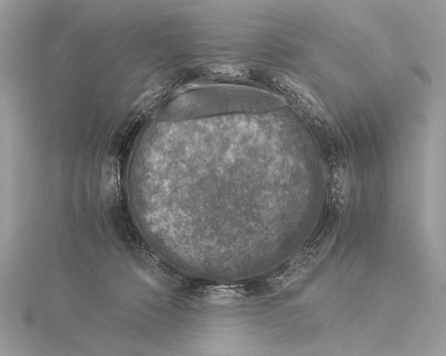 X0000115820320200912041632