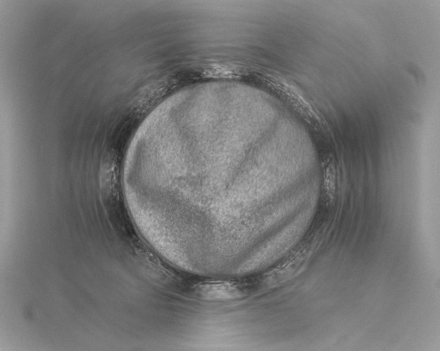 X0000115820322200912041632