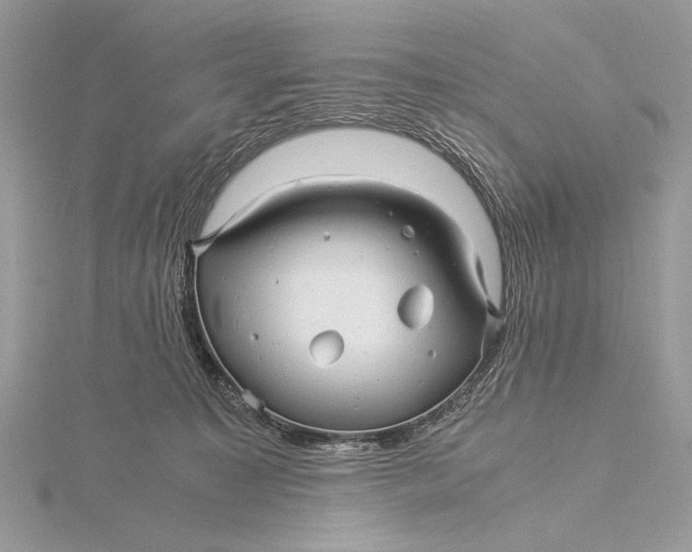 X0000115820323200912041632