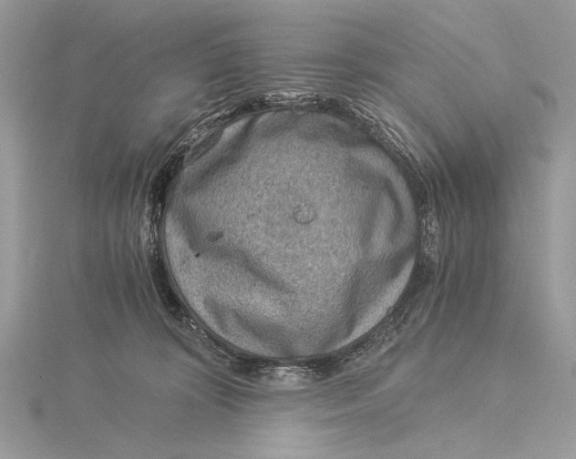 X0000115820324200912041632