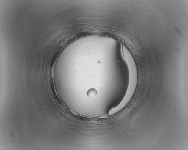 X0000115820325200912041632