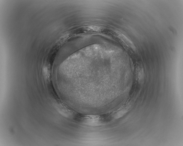 X0000115820328200912041632