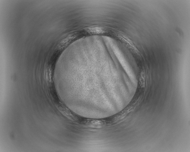 X0000115820330200912041632