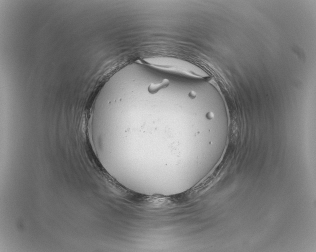 X0000115820333200912041632