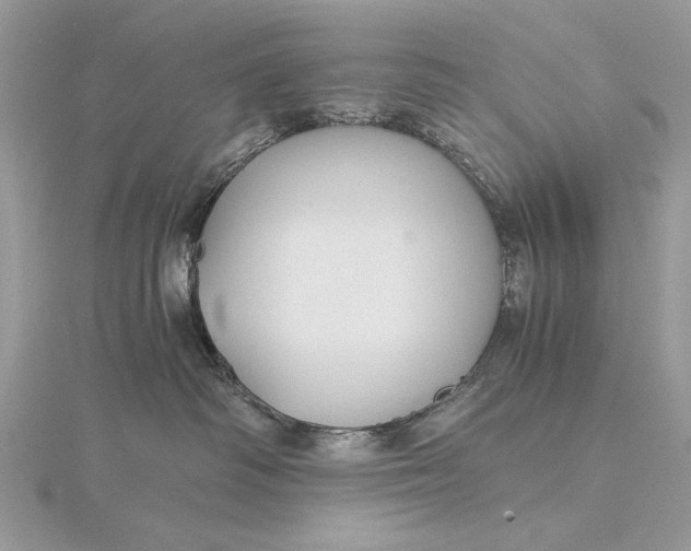 X0000115820334200912041632