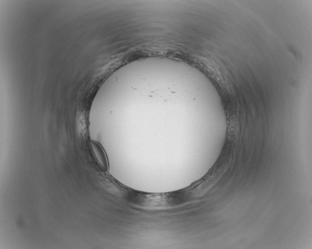 X0000115820335200912041632