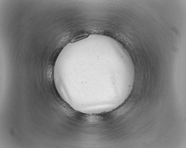 X0000115820336200912041632