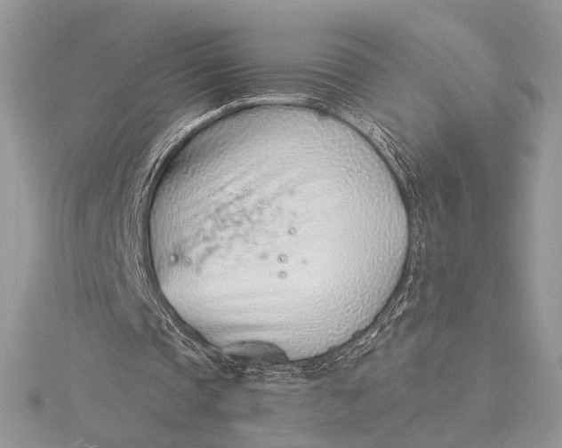 X0000115820337200912041632