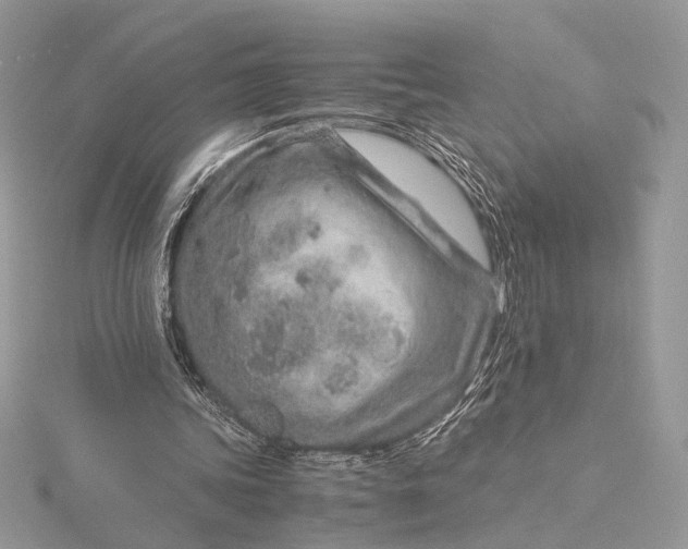 X0000115820339200912041632