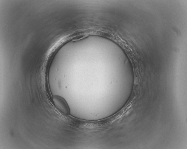 X0000115820341200912041632