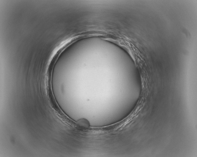 X0000115820342200912041632