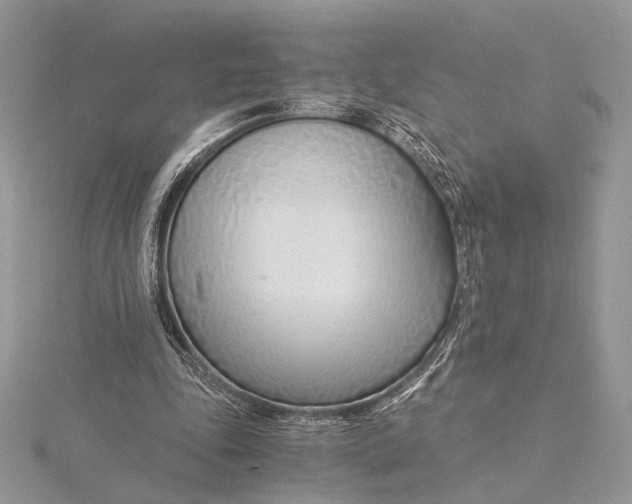 X0000115820343200912041632