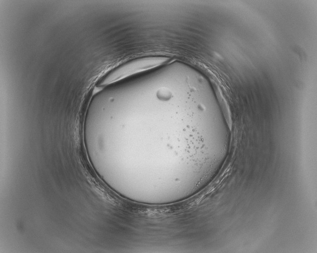 X0000115820345200912041632