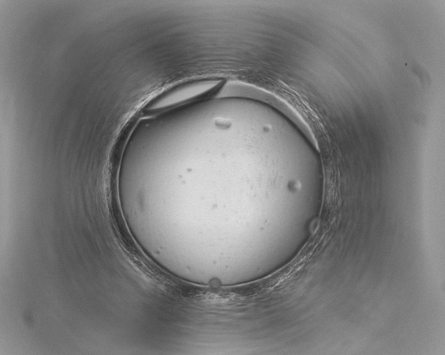 X0000115820346200912041632