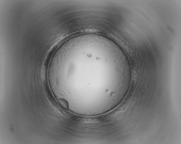 X0000115820347200912041632