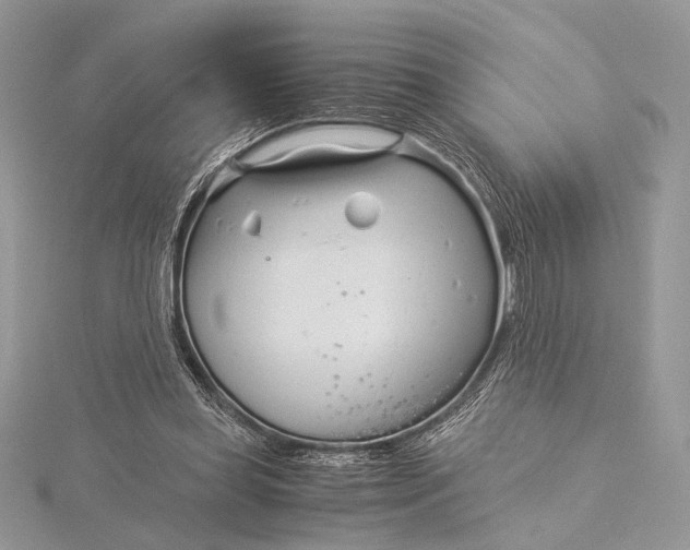 X0000115820349200912041632