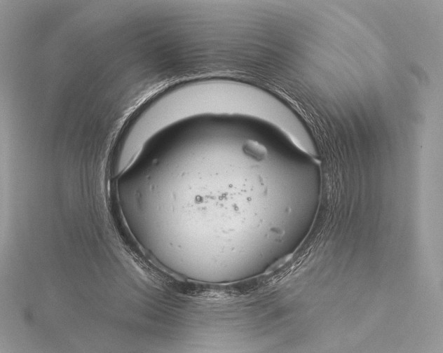 X0000115820350200912041632