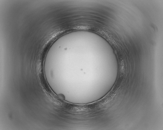 X0000115820351200912041632