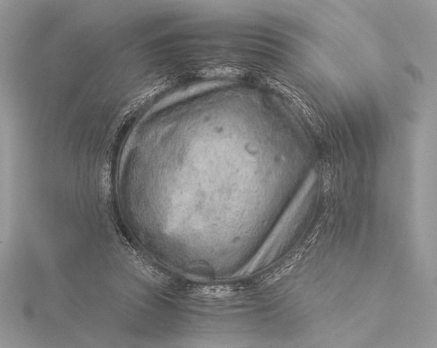 X0000115820353200912041632